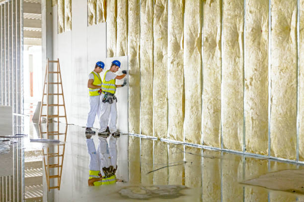 Best Insulation Replacement Services  in Ebensburg, PA